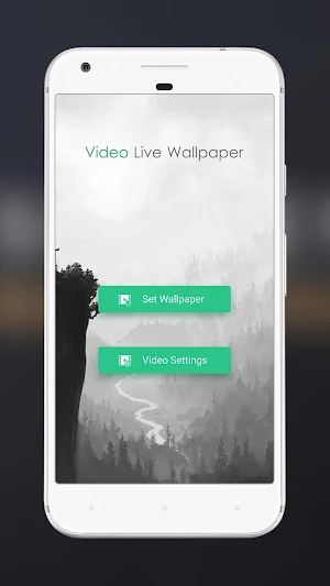 Video Live Wallpaper Screenshot 3