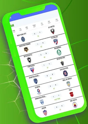 LiveGoal All football Scores Screenshot 3