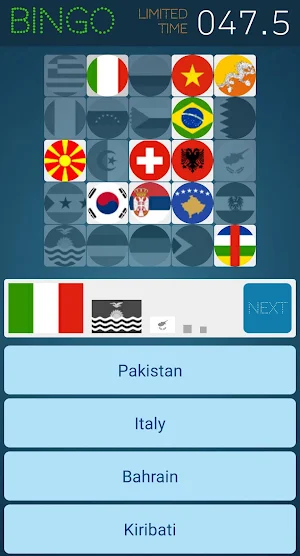 Flag Bingo - Random Flag Quiz Screenshot 1