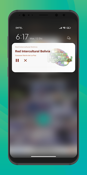 Red Intercultural Caranavi Screenshot 1