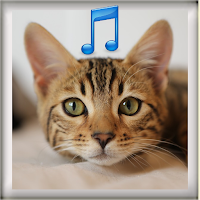 Cat Sound Ringtones