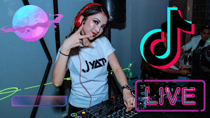 Dj terbaru tiktok Screenshot 3