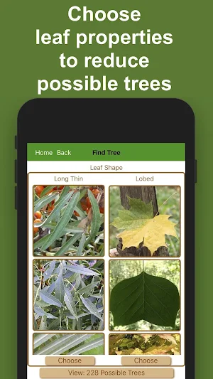 Forest Tree Identification Screenshot 1