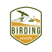 Birding Aragón