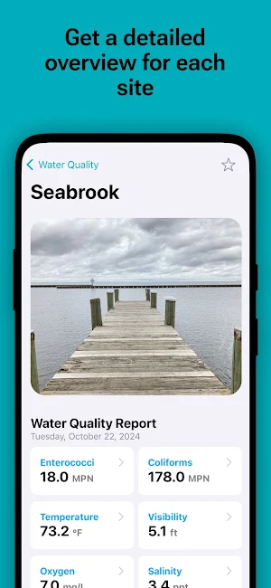 Lake and Coast Screenshot 1