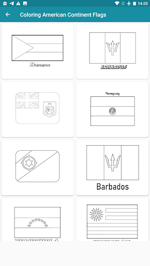 color Flag Americas Screenshot 3