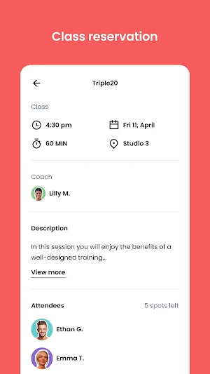 Fit Results Screenshot 3