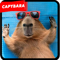 Capybara Wallpapers Cute 2025