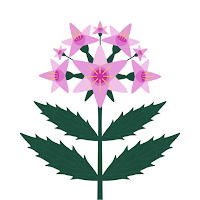 Valerian Root