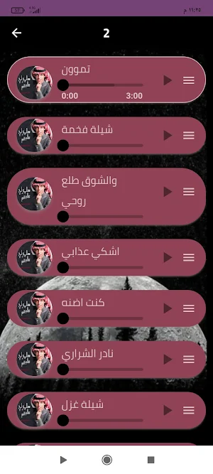 شيلات نادر الشراري 2024بدون نت Screenshot 2