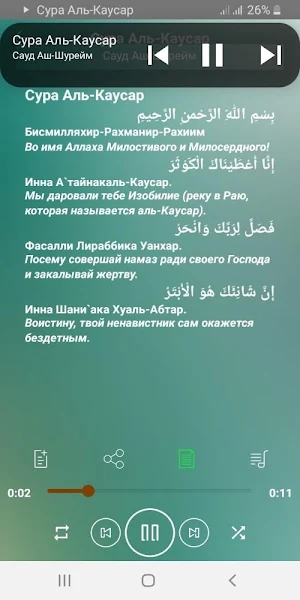 Сура Аль-Каусар аудио Screenshot 1