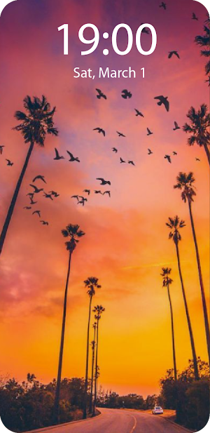 PalmTree Live Wallpaper HD4K Screenshot 2