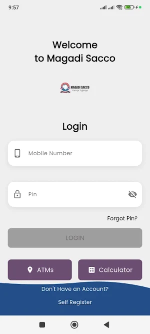 Magadi Sacco Screenshot 1