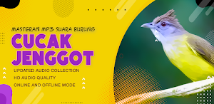 Masteran Cucak Jenggot Screenshot 2