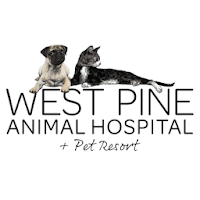 West Pine Animal Hospital