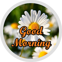 Good Morning Flowers Stickers