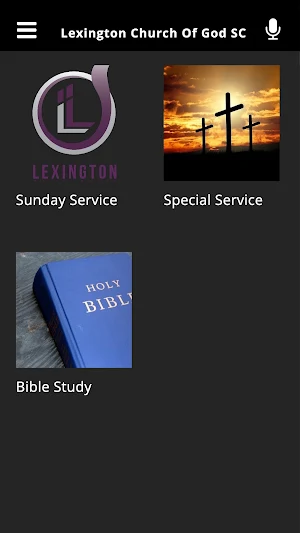 Lexington Church Of God SC Screenshot 2