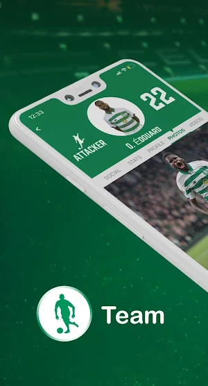 Celtic1967 Screenshot 0