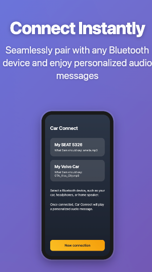 Car Connect Screenshot 0