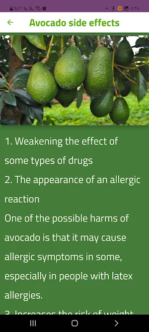 About Avocado Screenshot 1