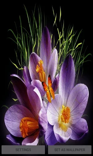 Purple Flowers Butterflies LWP Screenshot 2