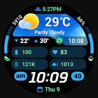 PRADO 95 Weather Watch Face