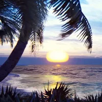 Tropical Ocean Live Wallpaper