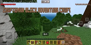 Craftsman Blocks Adventure Screenshot 2
