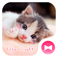 Feline Sight Theme
