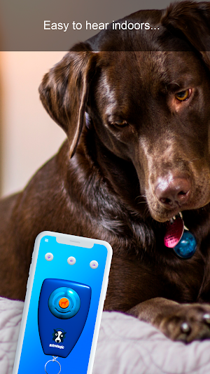 Dog Clicker Training Screenshot 1