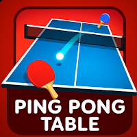 Ping Pong Table