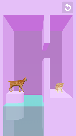 Cat Flipper Screenshot 1