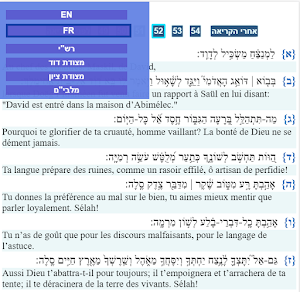 תהילים עם פירושים - Tehilim wi Screenshot 2