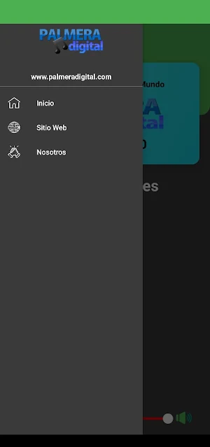 Palmera Digital Screenshot 0