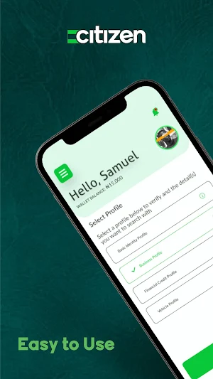 e-citizen.ng Screenshot 2