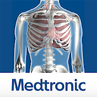 Thoracic Viewer