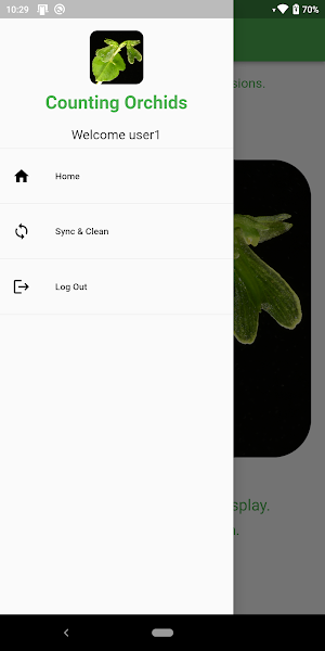 Counting Orchids Screenshot 2