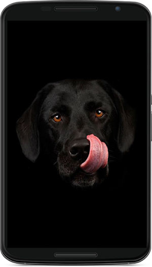 dog wallpaper Screenshot 1