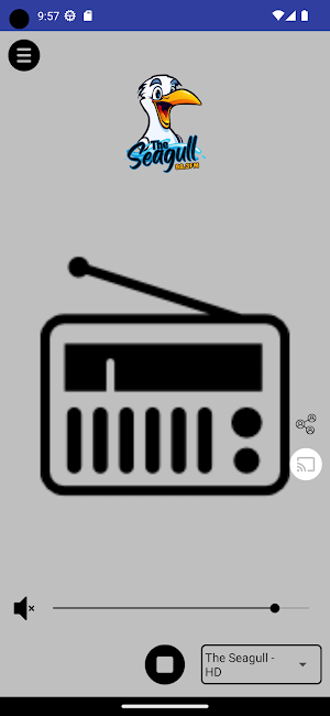 The Seagull Radio Screenshot 2
