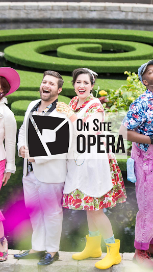 On Site Opera Screenshot 0