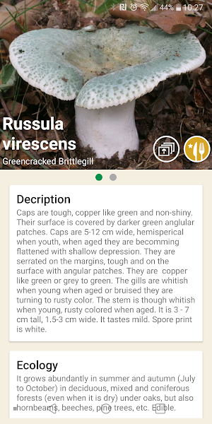 Mushrooms app Screenshot 1