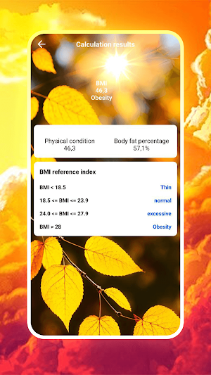 BMI calculation Screenshot 3