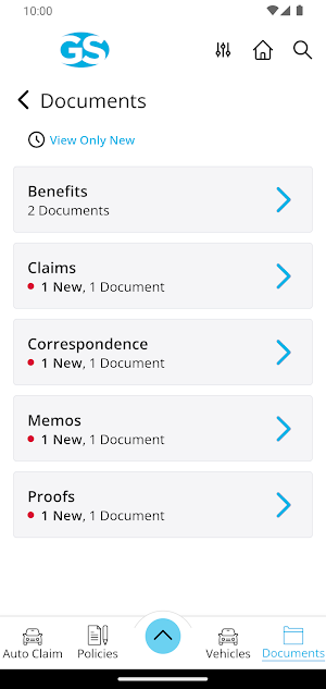 Graham Sykes Insurance Screenshot 2