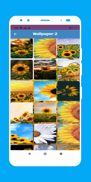 Flowers Wallpaper Screenshot 2