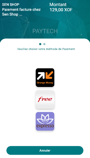 PayTech Screenshot 3