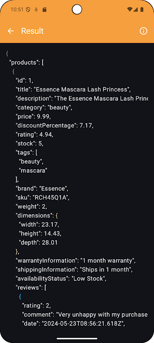 API Tester Screenshot 2