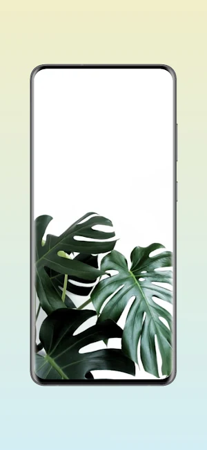 Monstera Live Wallpapers HD Screenshot 0