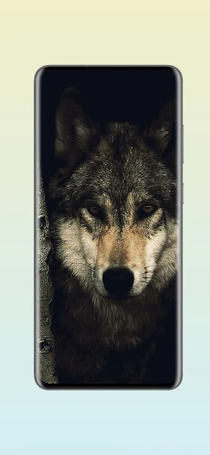 Wolf Live Wallpapers HD Screenshot 1