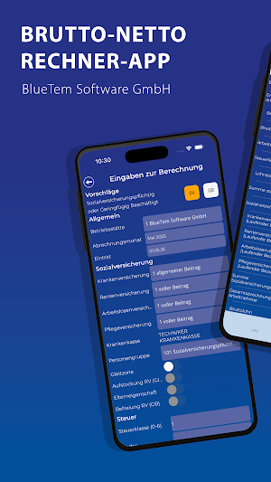 BlueTem - Brutto Netto Rechner Screenshot 0