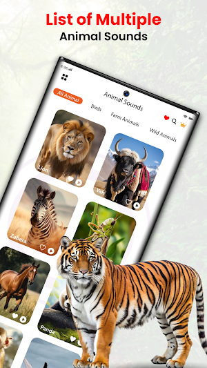 Animal Sounds and Bird Sounds Screenshot 2